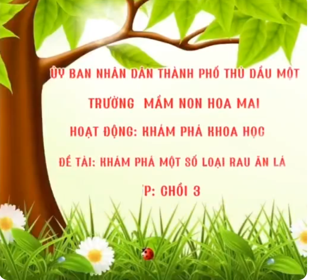 Hoạt động khám phá “Khám phá một số loại rau ăn lá”